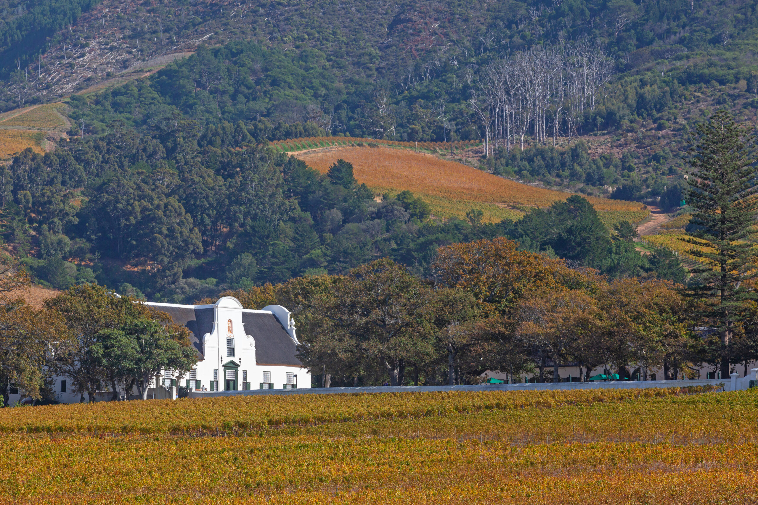 Groot Constantia in Cape Town